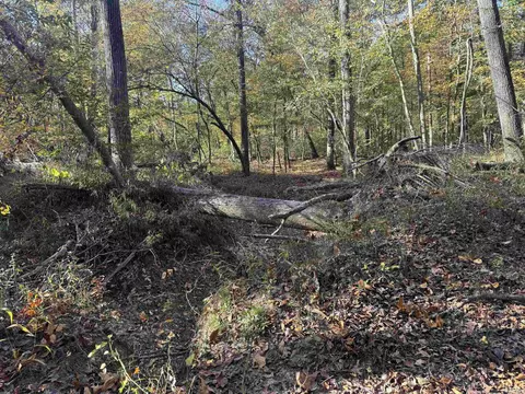 000 Sulpher Springs Rd, Pine Bluff, AR 71603 photo 20