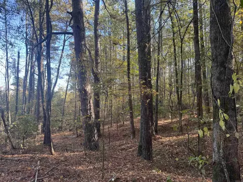 000 Sulpher Springs Rd, Pine Bluff, AR 71603 photo 11