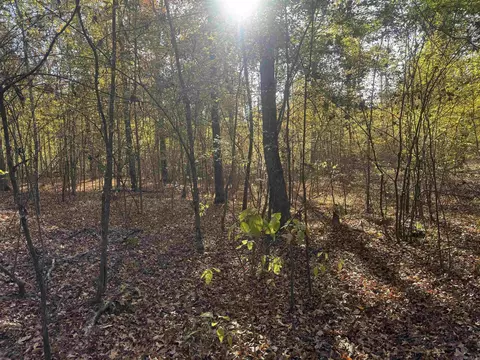 000 Sulpher Springs Rd, Pine Bluff, AR 71603 photo 16