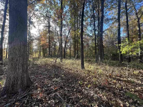 000 Sulpher Springs Rd, Pine Bluff, AR 71603 photo 2