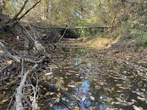 000 Sulpher Springs Rd, Pine Bluff, AR 71603 photo 27