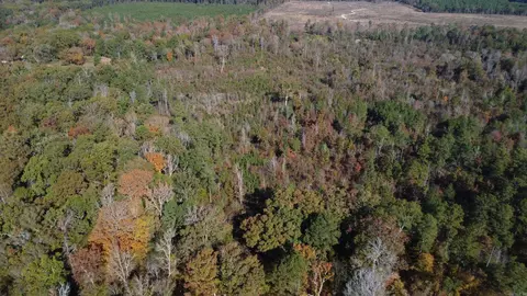 000 Sulpher Springs Rd, Pine Bluff, AR 71603 photo 42