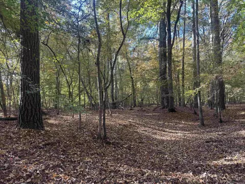 000 Sulpher Springs Rd, Pine Bluff, AR 71603 photo 15