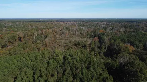 000 Sulpher Springs Rd, Pine Bluff, AR 71603 photo 44