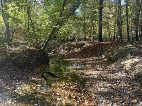 000 Sulpher Springs Rd, Pine Bluff, AR 71603 photo 14