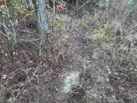 000 Sulpher Springs Rd, Pine Bluff, AR 71603 photo 34