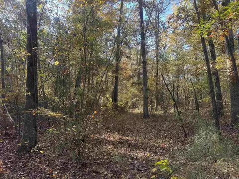 000 Sulpher Springs Rd, Pine Bluff, AR 71603 photo 19