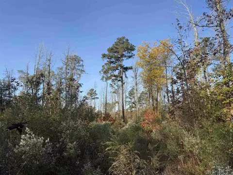 000 Sulpher Springs Rd, Pine Bluff, AR 71603 photo 31