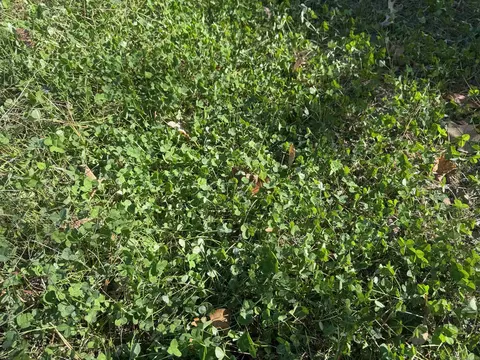 10875 Highway 133, Pine Bluff, AR 71603 photo 18