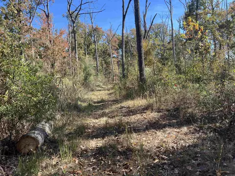 10875 Highway 133, Pine Bluff, AR 71603 photo 13