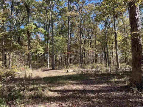 10875 Highway 133, Pine Bluff, AR 71603 photo 11