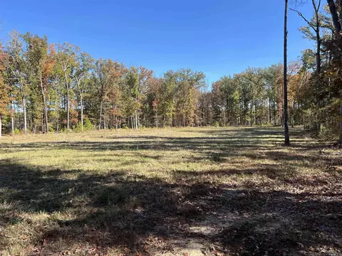 10875 Highway 133, Pine Bluff, AR 71603 photo 7