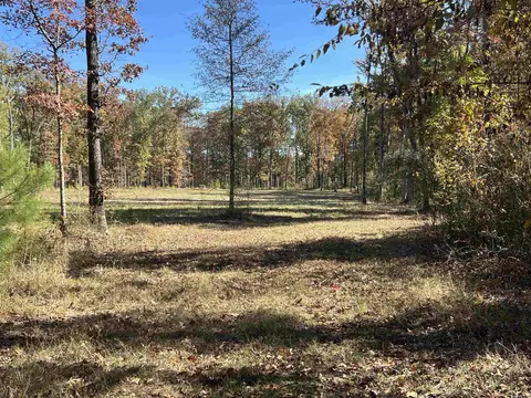 10875 Highway 133, Pine Bluff, AR 71603 photo 4