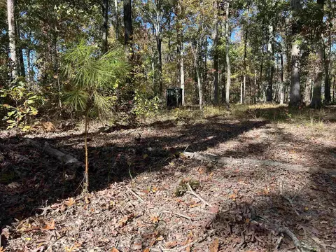 10875 Highway 133, Pine Bluff, AR 71603 photo 10