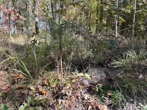 10875 Highway 133, Pine Bluff, AR 71603 photo 3