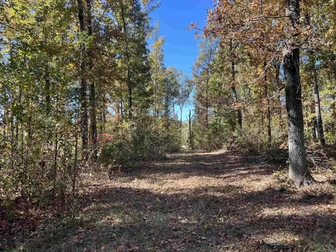 10875 Highway 133, Pine Bluff, AR 71603 photo 6