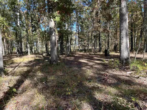 10875 Highway 133, Pine Bluff, AR 71603 photo 9