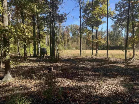 10875 Highway 133, Pine Bluff, AR 71603 photo 23
