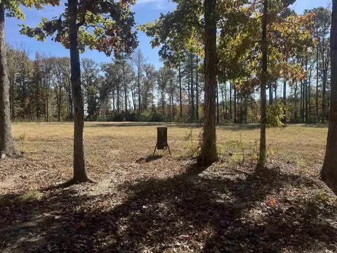 10875 Highway 133, Pine Bluff, AR 71603 photo 22