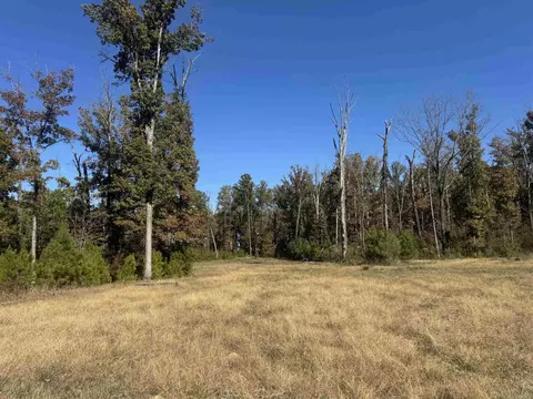 10875 Highway 133, Pine Bluff, AR 71603 photo 16