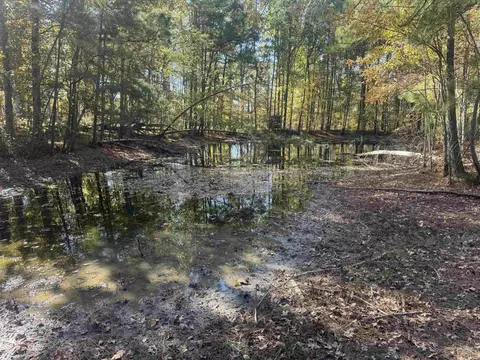 10875 Highway 133, Pine Bluff, AR 71603 photo 26