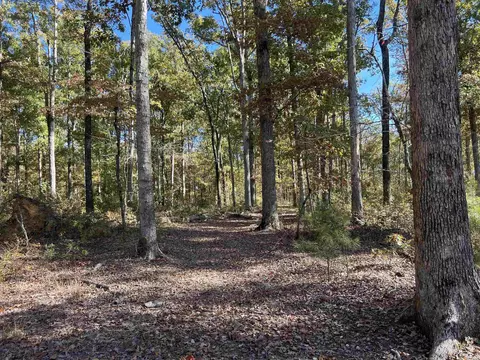 10875 Highway 133, Pine Bluff, AR 71603 photo 12