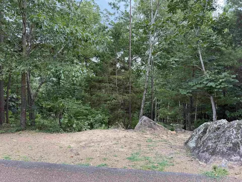 lot37 R Stoney Ridge Rd, Heber Springs, AR 72543