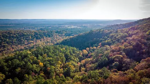 Cr185 Camilla Springs, Glenwood, AR 71943