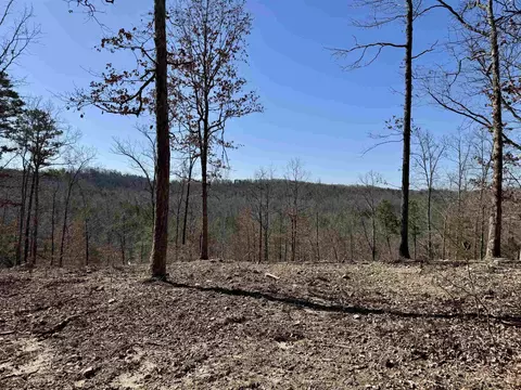 75 33 Acres Rose Trl, Melbourne, AR 72556 photo 13