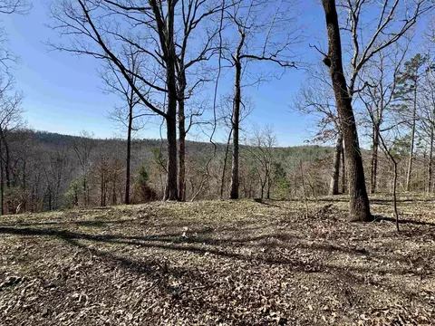 75 33 Acres Rose Trl, Melbourne, AR 72556 photo 12