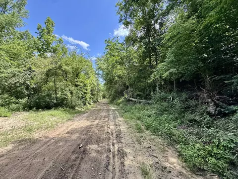 75 33 Acres Rose Trl, Melbourne, AR 72556 photo 10