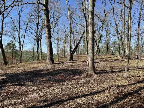 75 33 Acres Rose Trl, Melbourne, AR 72556 photo 11