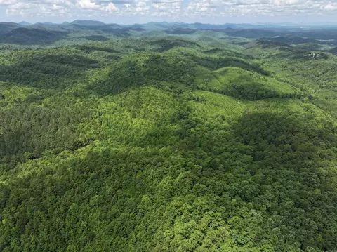 tbd Polk Road 61, Mena, AR 71953