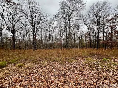 00 Allen Dr, Vilonia, AR 72173 photo 8