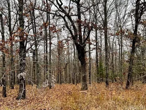 00 Allen Dr, Vilonia, AR 72173 photo 5
