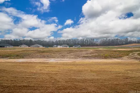 1033 Duke Dr, Bauxite, AR 72011 photo 44