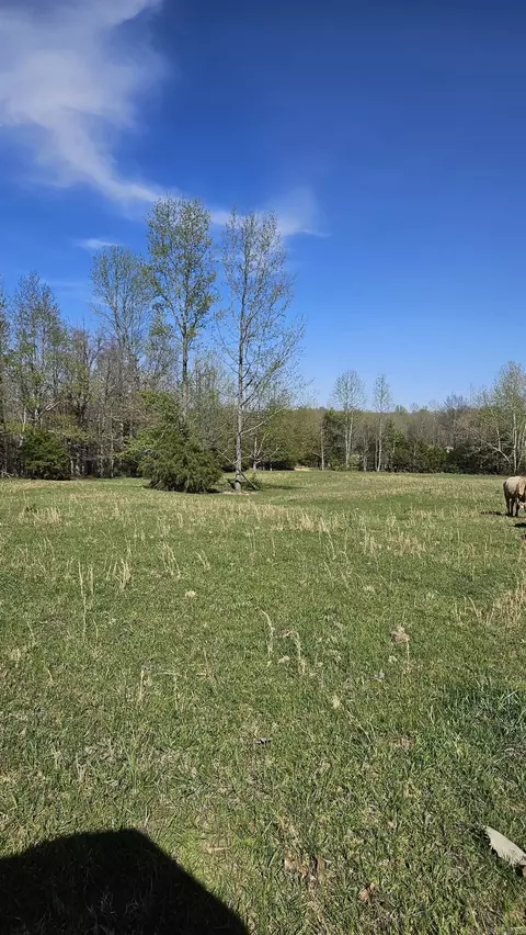 100 County Road 417, Rector, AR 72461