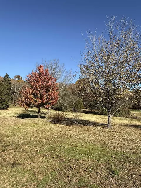 48 Condray Ln, Quitman, AR 72131 photo 41