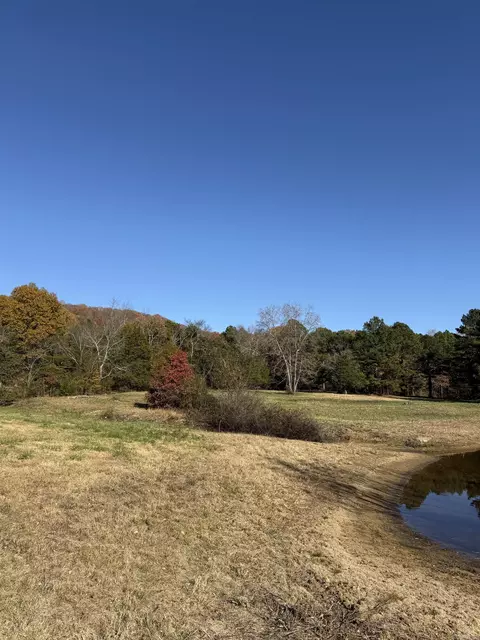 48 Condray Ln, Quitman, AR 72131 photo 31