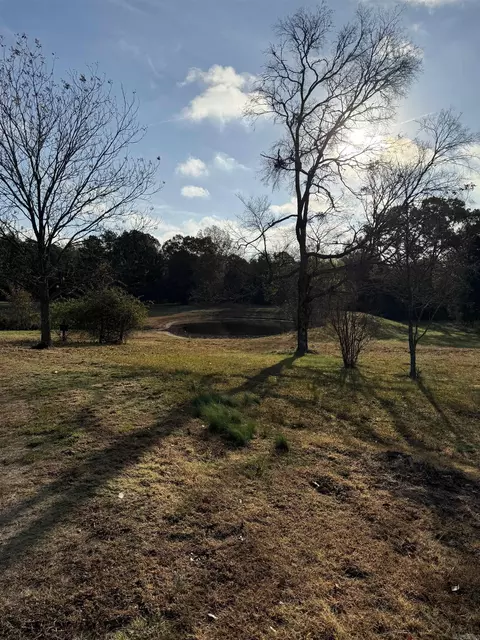 48 Condray Ln, Quitman, AR 72131 photo 30