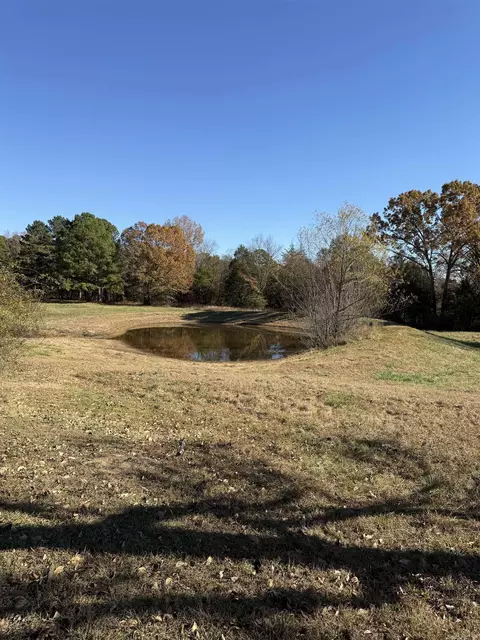 48 Condray Ln, Quitman, AR 72131 photo 32