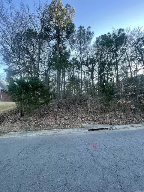26 Norfork Dr, Maumelle, AR 72113