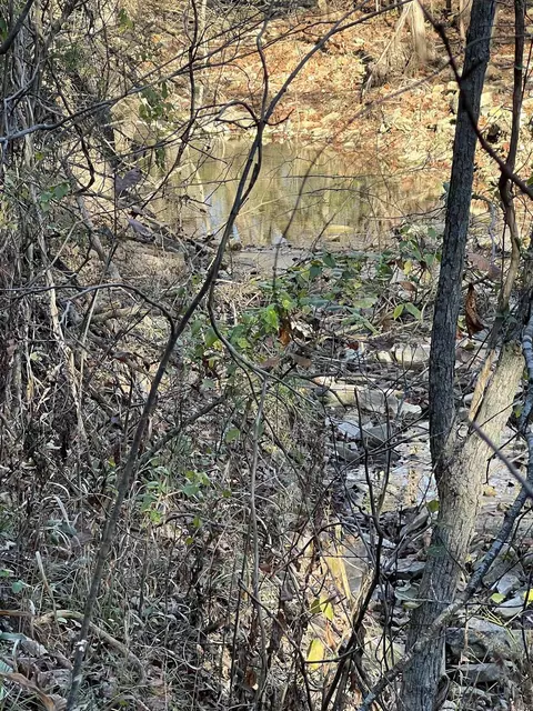 001-08378 W 001 W Hwy 62, Pyatt, AR 72672