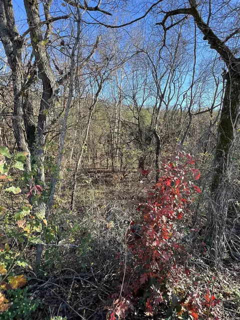 001-08378 W 001 W Hwy 62, Pyatt, AR 72672 photo 6