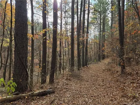 000 Cedar Br, Hattieville, AR 72063