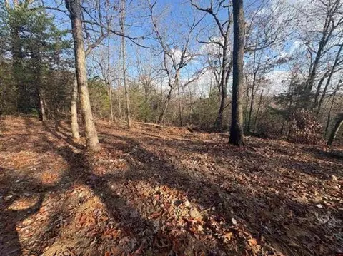 Tract C & D Hwy 101, Gamaliel, AR 72537
