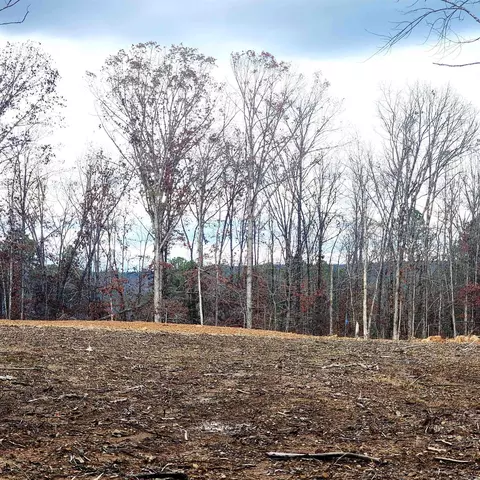 0 The Blfs, Edgemont, AR 72088 photo 4