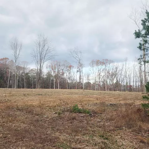 0 The Blfs, Edgemont, AR 72088 photo 7