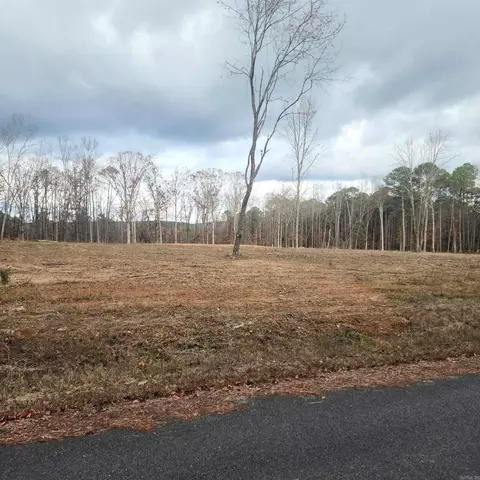 0 The Blfs, Edgemont, AR 72088
