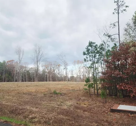 0 The Blfs, Edgemont, AR 72088 photo 3